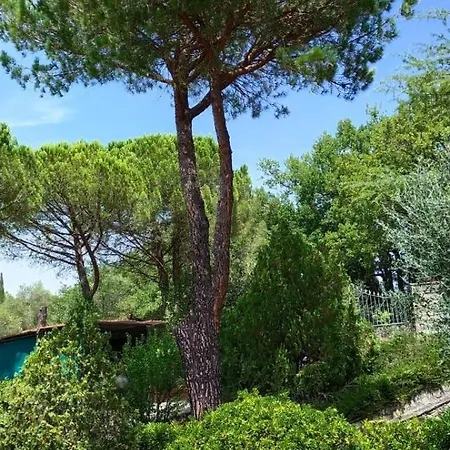 Villa Santa Margherita - La Suvera