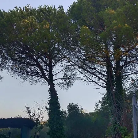 Santa Margherita - La Suvera *