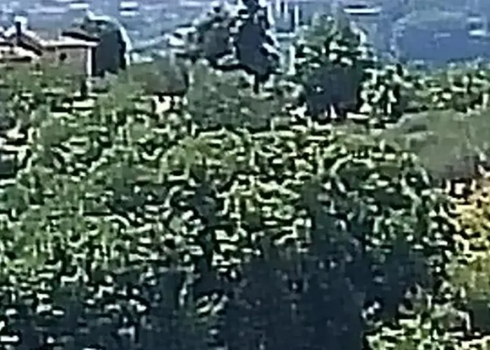 Santa Margherita - La Suvera 폰테 아 보조네