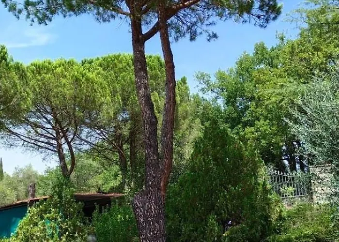 빌라 Santa Margherita - La Suvera