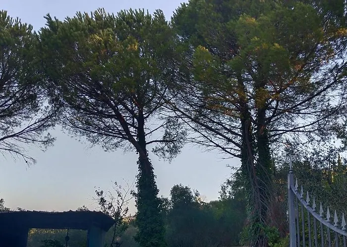 Santa Margherita - La Suvera *